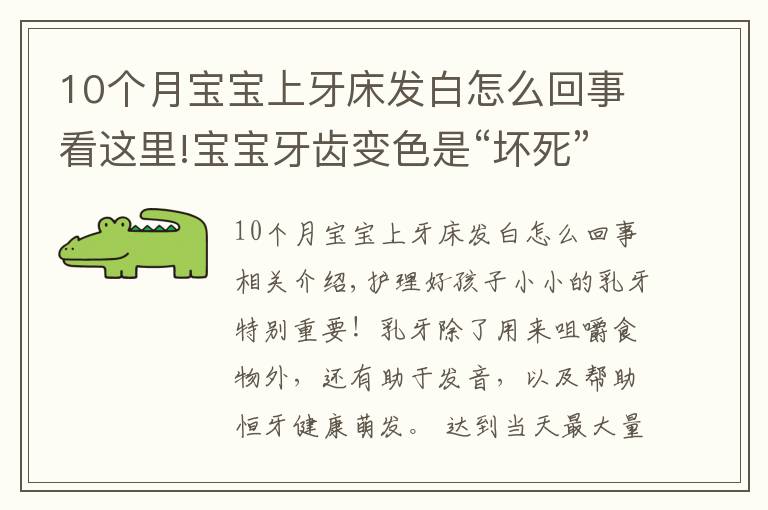 10个月宝宝上牙床发白怎么回事看这里!宝宝牙齿变色是“坏死”？关于乳牙10个小秘密，一定有你不知道的