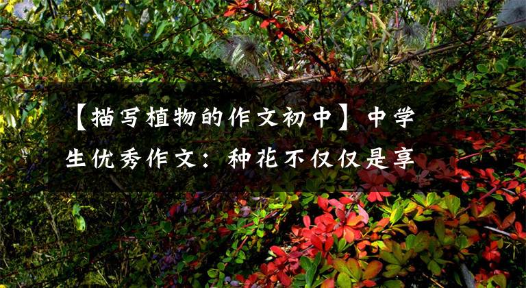 【描写植物的作文初中】中学生优秀作文：种花不仅仅是享乐。