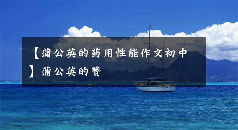 【蒲公英的药用性能作文初中】蒲公英的赞