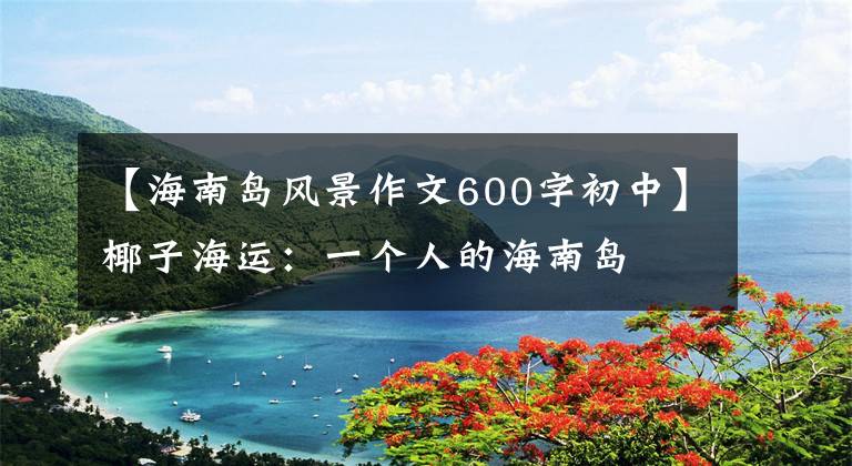 【海南岛风景作文600字初中】椰子海运:一个人的海南岛