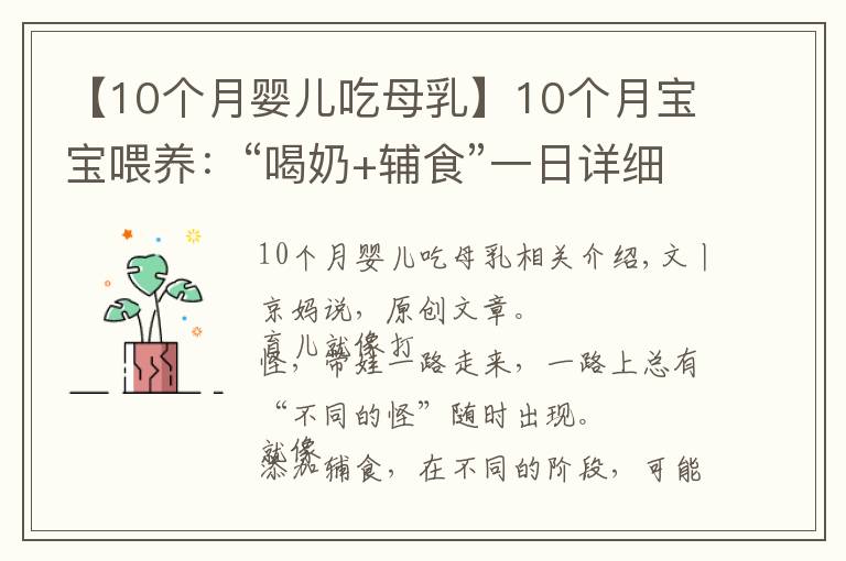 【10个月婴儿吃母乳】10个月宝宝喂养：“喝奶+辅食”一日详细安排，重点锻炼俩能力
