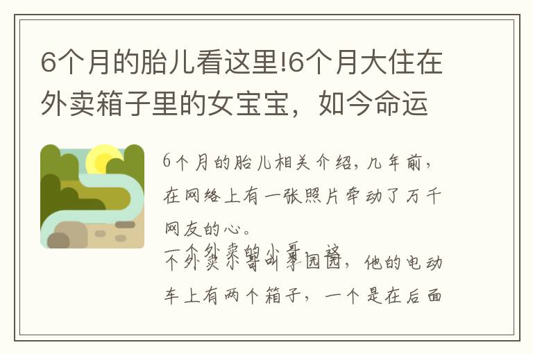 6个月的胎儿看这里!6个月大住在外卖箱子里的女宝宝，如今命运终于被阳光照耀