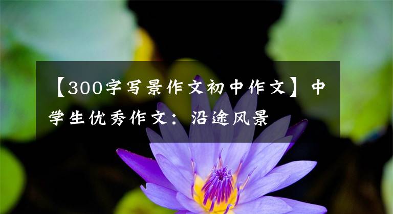 【300字写景作文初中作文】中学生优秀作文：沿途风景