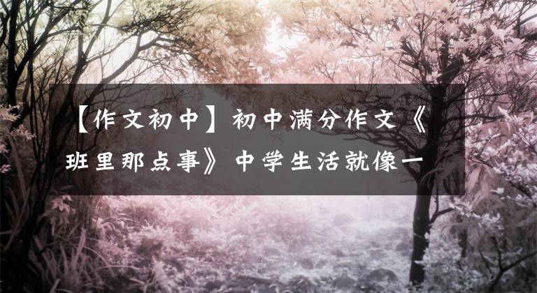 【作文初中】初中满分作文《班里那点事》中学生活就像一杯苦涩的咖啡