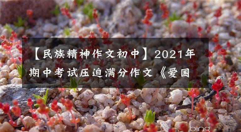 【民族精神作文初中】2021年期中考试压迫满分作文《爱国是我的责任》