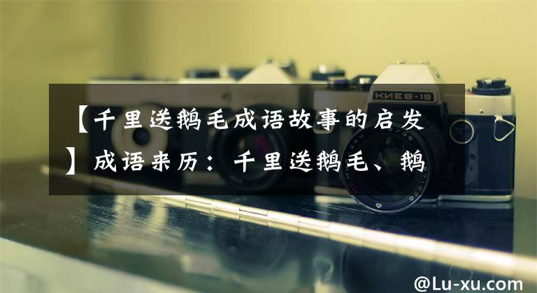 【千里送鹅毛成语故事的启发】成语来历：千里送鹅毛、鹅毛、一首诗