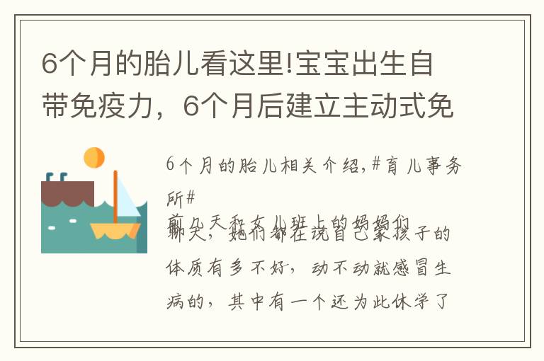 6个月的胎儿看这里!宝宝出生自带免疫力，6个月后建立主动式免疫，几种营养素不可缺