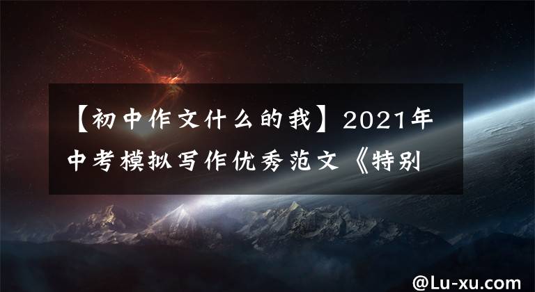 【初中作文什么的我】2021年中考模拟写作优秀范文《特别的时光，特别的我》