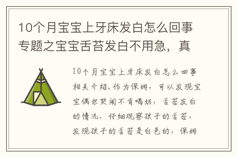 10个月宝宝上牙床发白怎么回事专题之宝宝舌苔发白不用急，真相可能是这样的