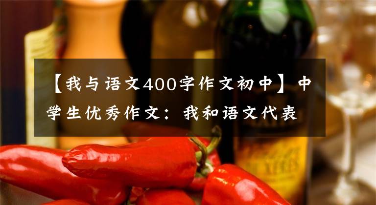 【我与语文400字作文初中】中学生优秀作文：我和语文代表的那些东西。