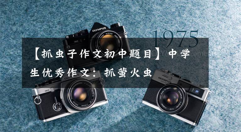 【抓虫子作文初中题目】中学生优秀作文：抓萤火虫