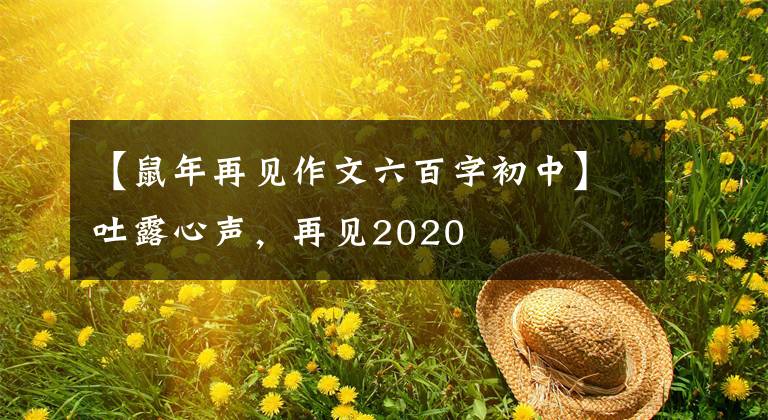 【鼠年再见作文六百字初中】吐露心声，再见2020