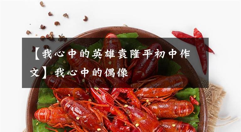 【我心中的英雄袁隆平初中作文】我心中的偶像