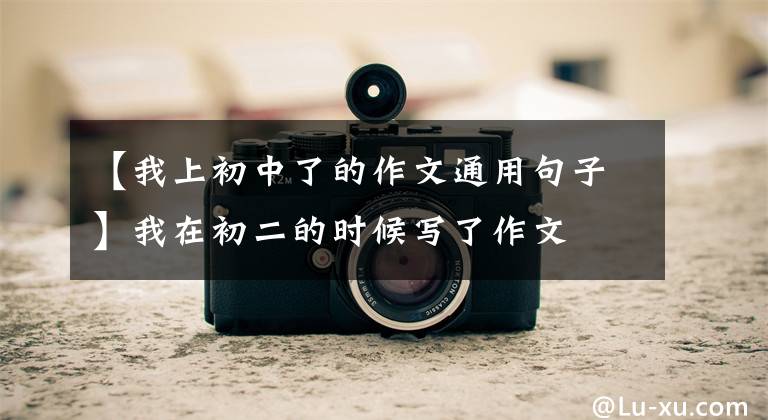 【我上初中了的作文通用句子】我在初二的时候写了作文