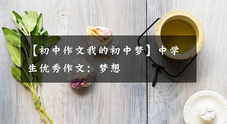 【初中作文我的初中梦】中学生优秀作文：梦想