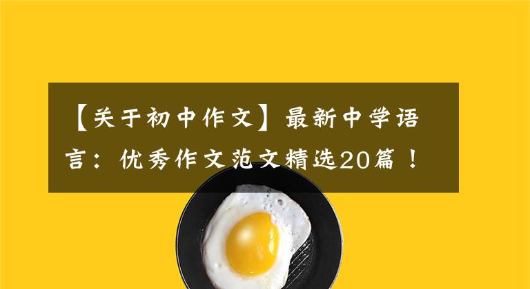 【关于初中作文】最新中学语言：优秀作文范文精选20篇！包括评论，给孩子上一课