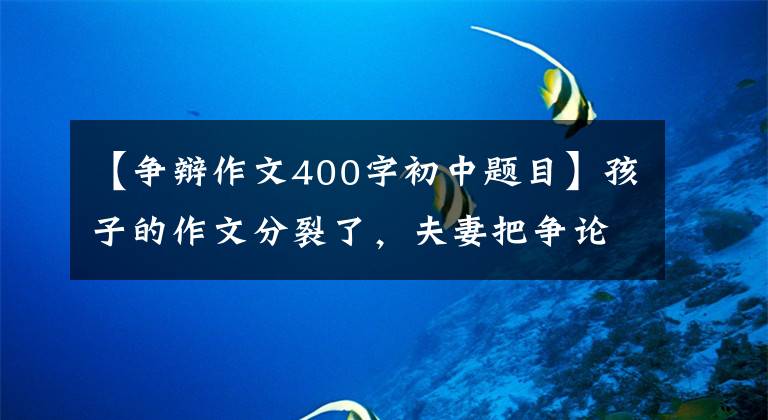 【争辩作文400字初中题目】孩子的作文分裂了，夫妻把争论吸引到400人的大群人当中，谁更有道理？