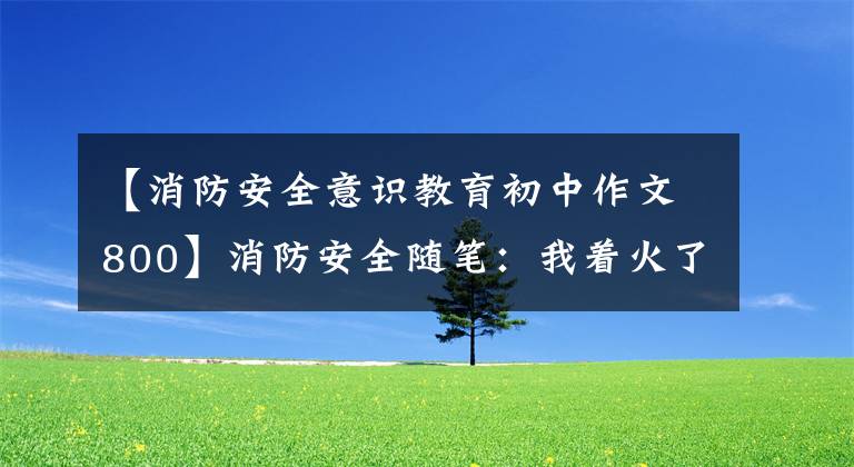 【消防安全意识教育初中作文800】消防安全随笔：我着火了。