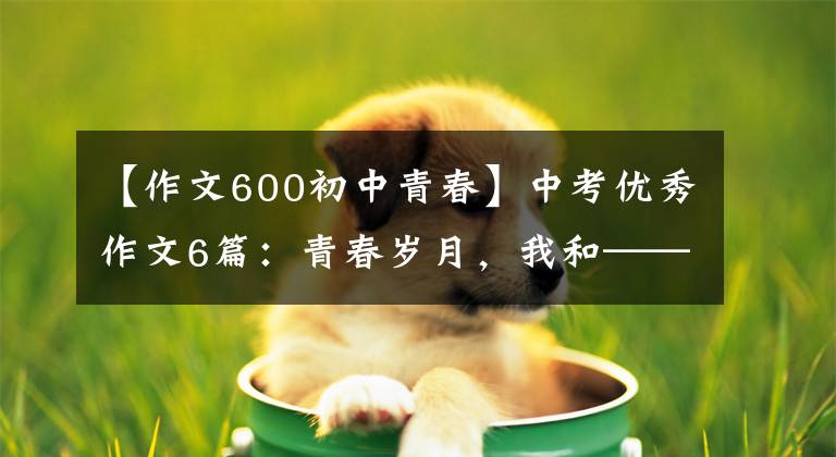 【作文600初中青春】中考优秀作文6篇：青春岁月，我和——约好了。