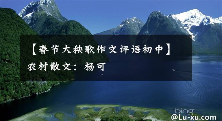【春节大秧歌作文评语初中】农村散文：杨可
