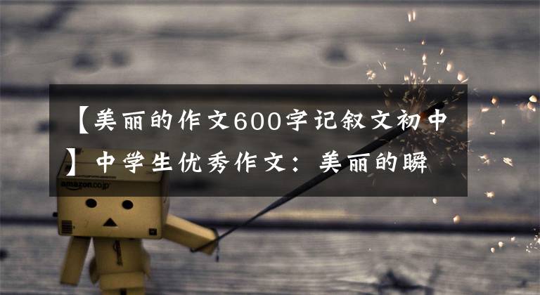 【美丽的作文600字记叙文初中】中学生优秀作文：美丽的瞬间