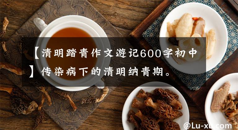 【清明踏青作文游记600字初中】传染病下的清明纳青期。