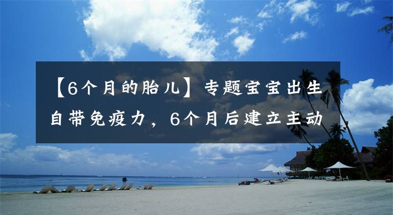 【6个月的胎儿】专题宝宝出生自带免疫力，6个月后建立主动式免疫，几种营养素不可缺