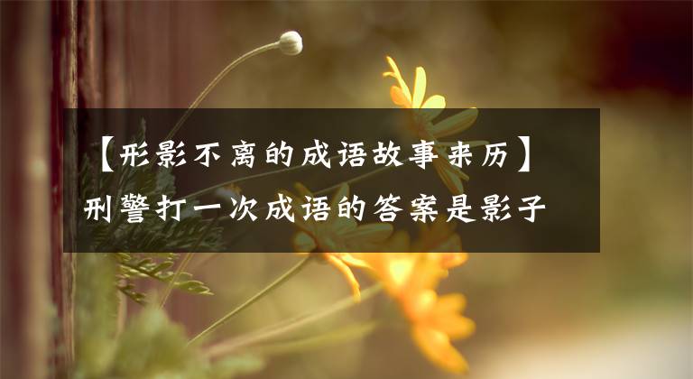 【形影不离的成语故事来历】刑警打一次成语的答案是影子不离开。