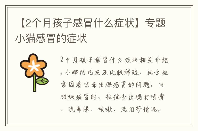 【2个月孩子感冒什么症状】专题小猫感冒的症状