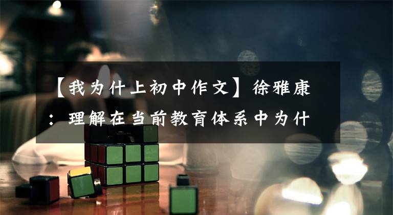 【我为什上初中作文】徐雅康：理解在当前教育体系中为什么要上学。