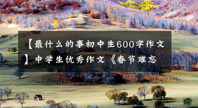 【最什么的事初中生600字作文】中学生优秀作文《春节难忘的一件事》 9篇