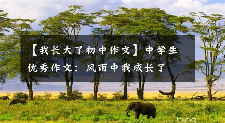 【我长大了初中作文】中学生优秀作文：风雨中我成长了