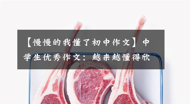 【慢慢的我懂了初中作文】中学生优秀作文：越来越懂得欣赏的我