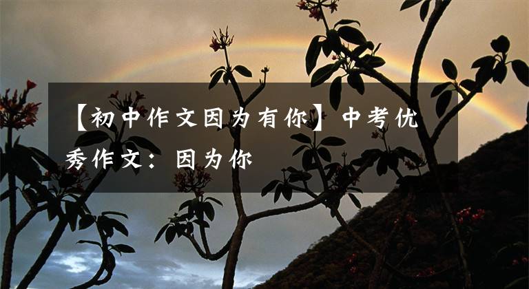 【初中作文因为有你】中考优秀作文：因为你