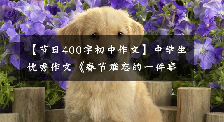 【节日400字初中作文】中学生优秀作文《春节难忘的一件事》 9篇