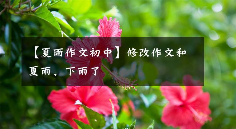 【夏雨作文初中】修改作文和夏雨，下雨了