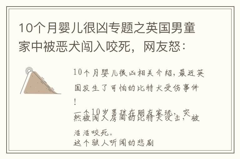 10个月婴儿很凶专题之英国男童家中被恶犬闯入咬死，网友怒：这种猛犬为什么还不禁养