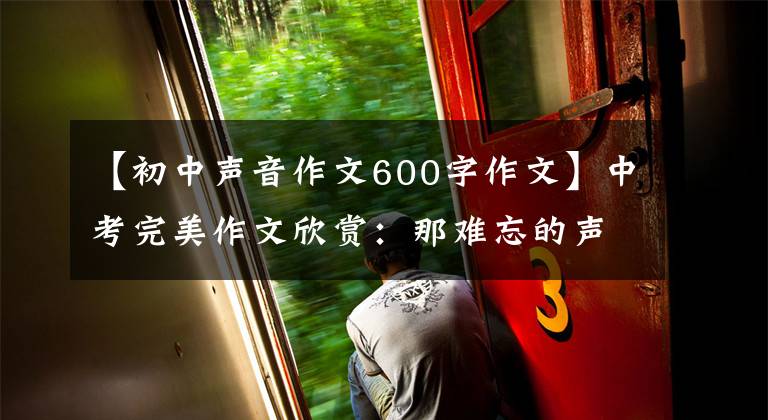 【初中声音作文600字作文】中考完美作文欣赏：那难忘的声音