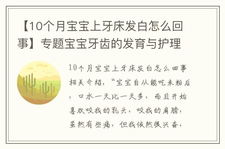 【10个月宝宝上牙床发白怎么回事】专题宝宝牙齿的发育与护理（上）