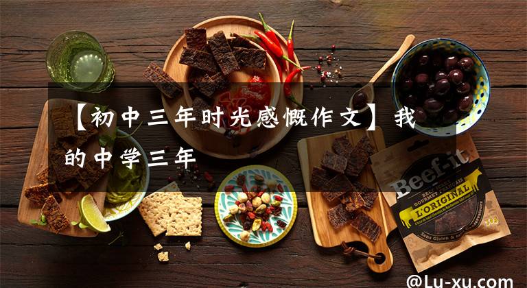 【初中三年时光感慨作文】我的中学三年