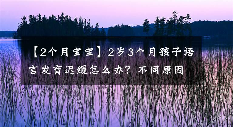 【2个月宝宝】2岁3个月孩子语言发育迟缓怎么办？不同原因要区别对待