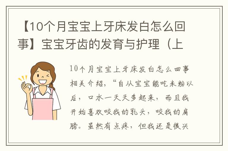 【10个月宝宝上牙床发白怎么回事】宝宝牙齿的发育与护理（上）