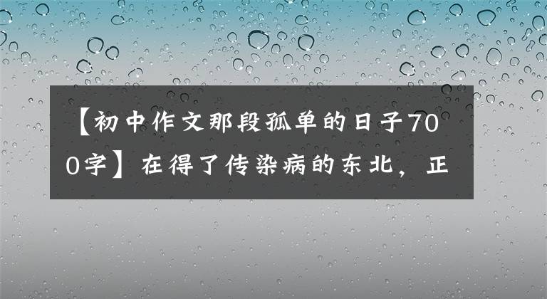 【初中作文那段孤单的日子700字】在得了传染病的东北，正经历着跨越数十年的孤独。