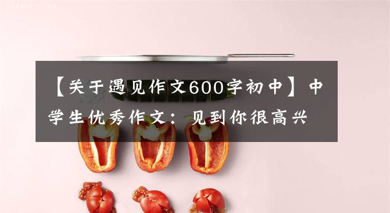 【关于遇见作文600字初中】中学生优秀作文：见到你很高兴。