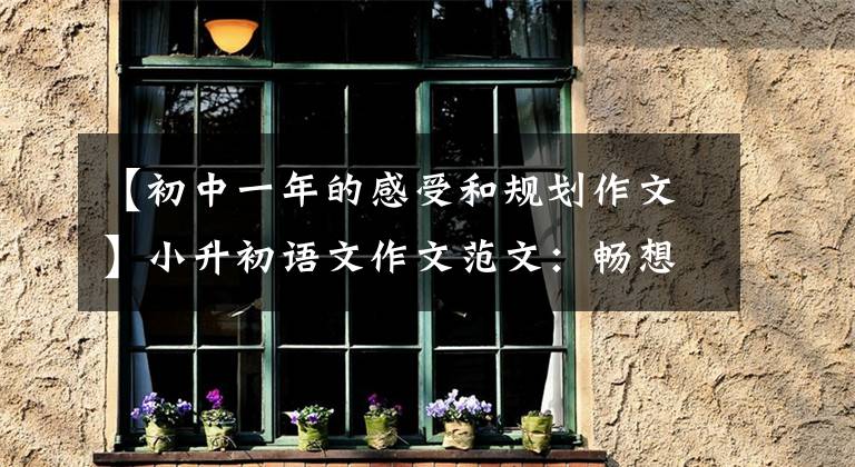 【初中一年的感受和规划作文】小升初语文作文范文：畅想未来的中学生活