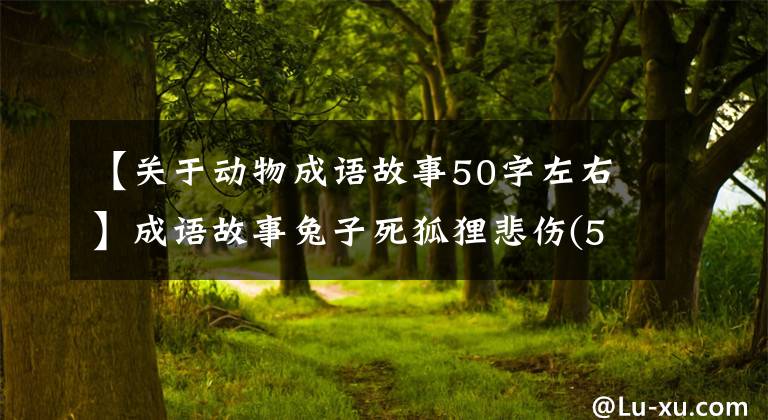 【关于动物成语故事50字左右】成语故事兔子死狐狸悲伤(595集)
