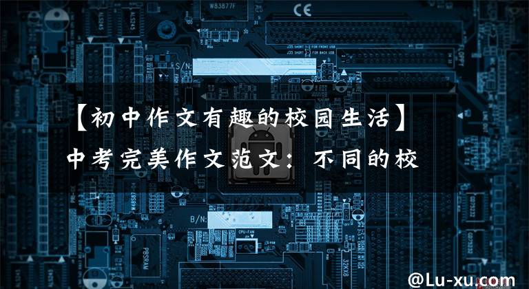 【初中作文有趣的校园生活】中考完美作文范文：不同的校园生活