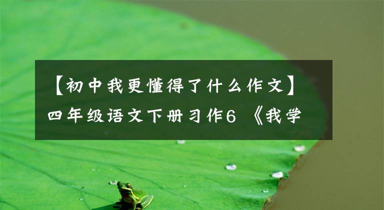 【初中我更懂得了什么作文】四年级语文下册习作6 《我学会了——》范文