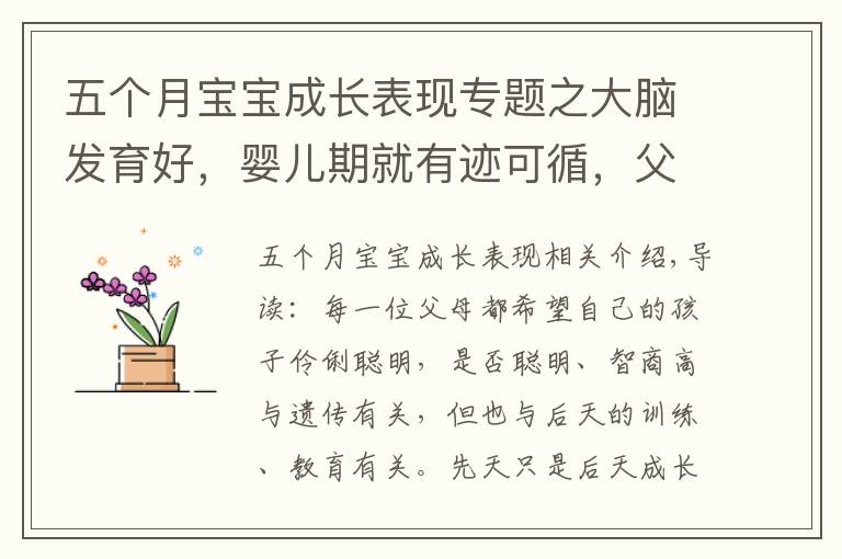 五个月宝宝成长表现专题之大脑发育好，婴儿期就有迹可循，父母留意宝宝是否有这几个反应