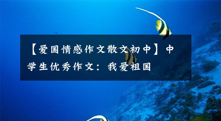 【爱国情感作文散文初中】中学生优秀作文：我爱祖国